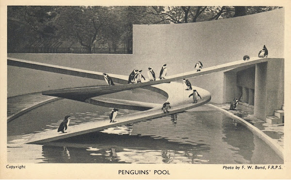 Londres - La piscine des pingouins - London Zoo  Architecte: Berthold Lubetkin / Tecton (son groupe d'architectes)  Construction: 1934