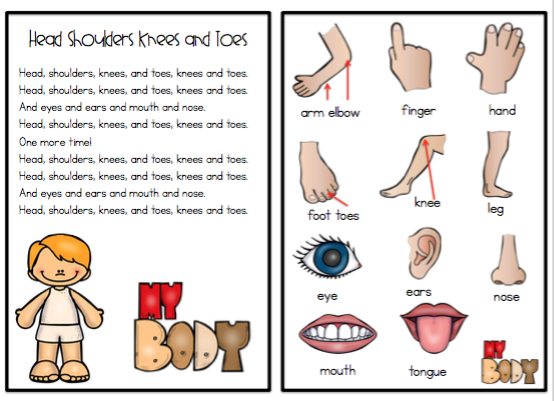 printable-head-shoulders-knees-and-toes-printable-word-searches