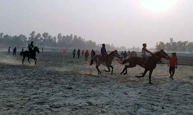 Riding races in Kazipure কাজিপুরে ঘোড়দৌড় অনুষ্ঠিত