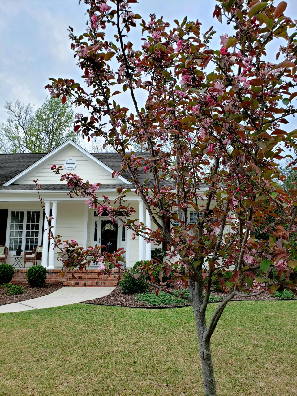 Tales from The Raspberry Rabbits