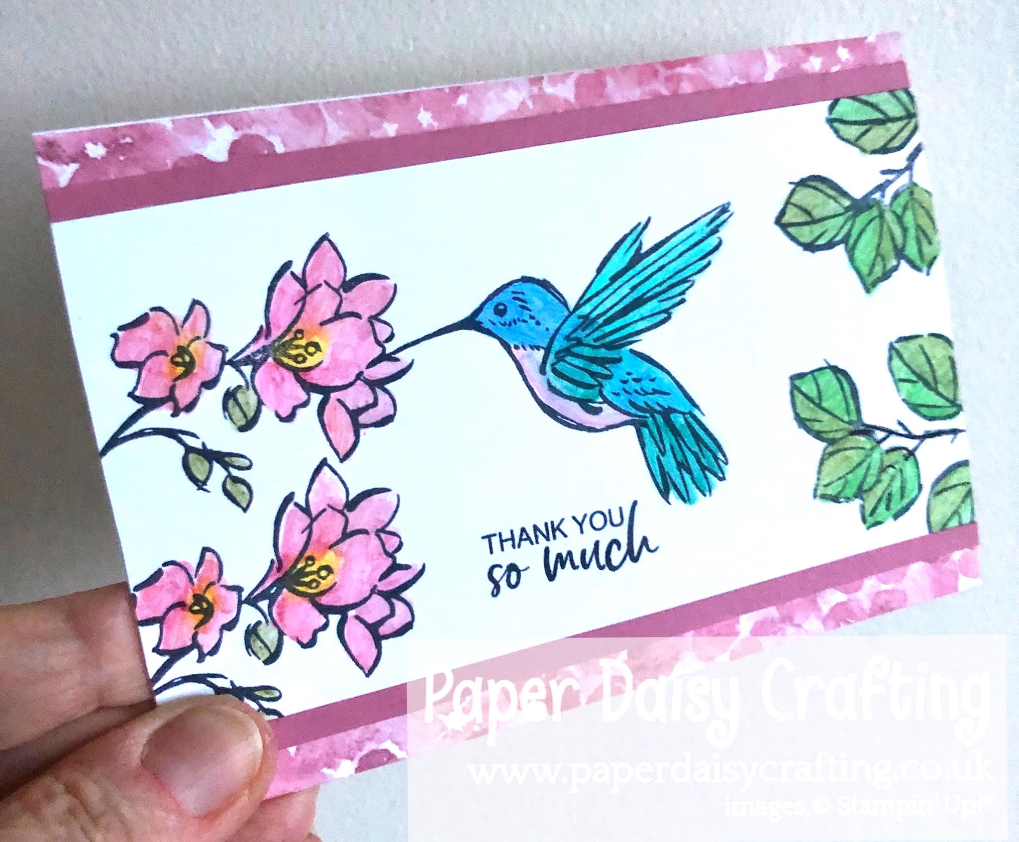 Paper Daisy Crafting A Touch of Ink Hummingbird card video tutorial