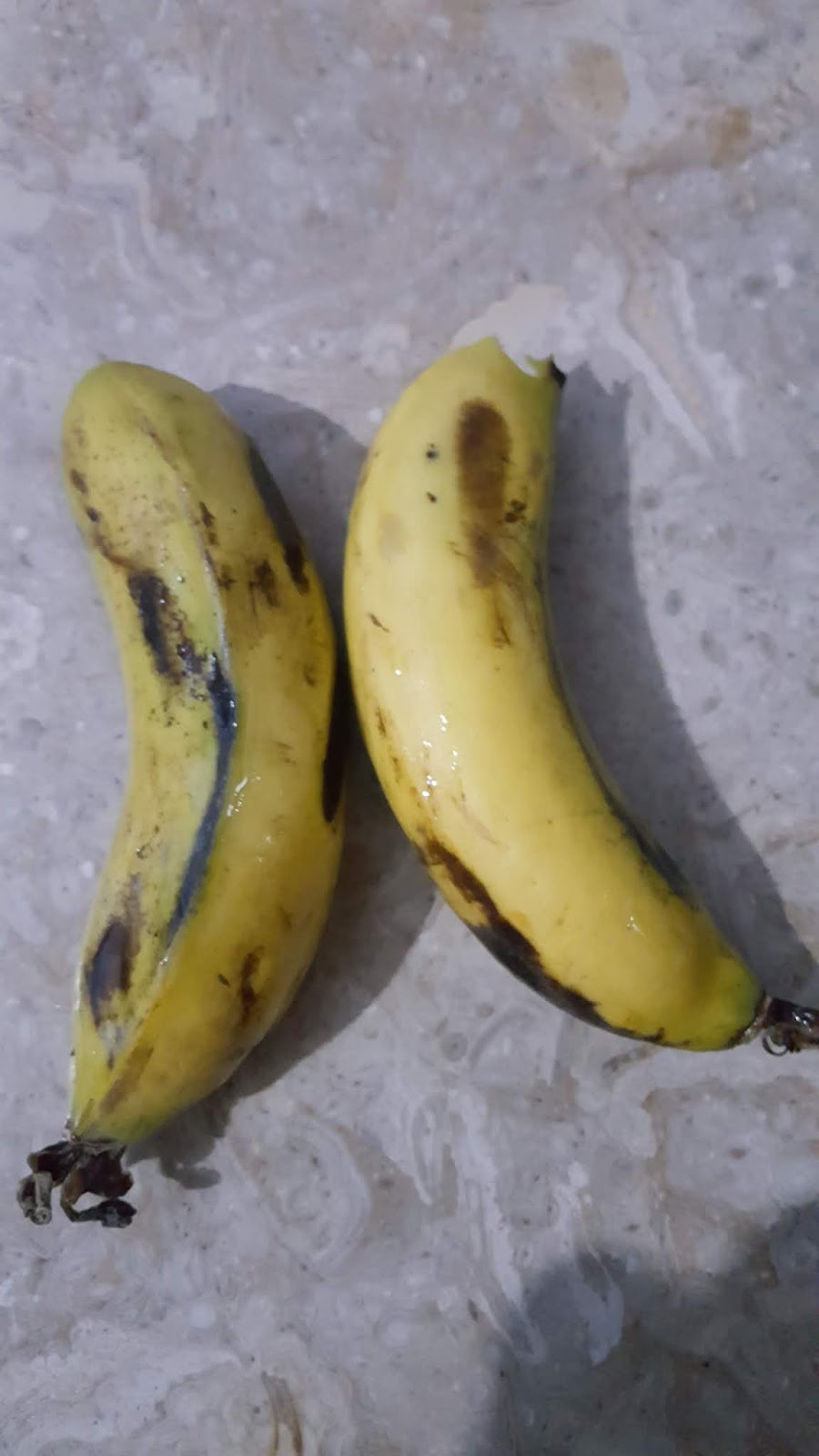 The Banana and its Seed | Tips Provider