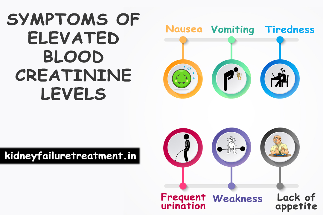 How Patients Can Reduce Their Creatinine Levels Even Without Dialysis