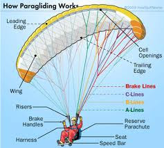 Parachute Attractions | Suraflin Blog