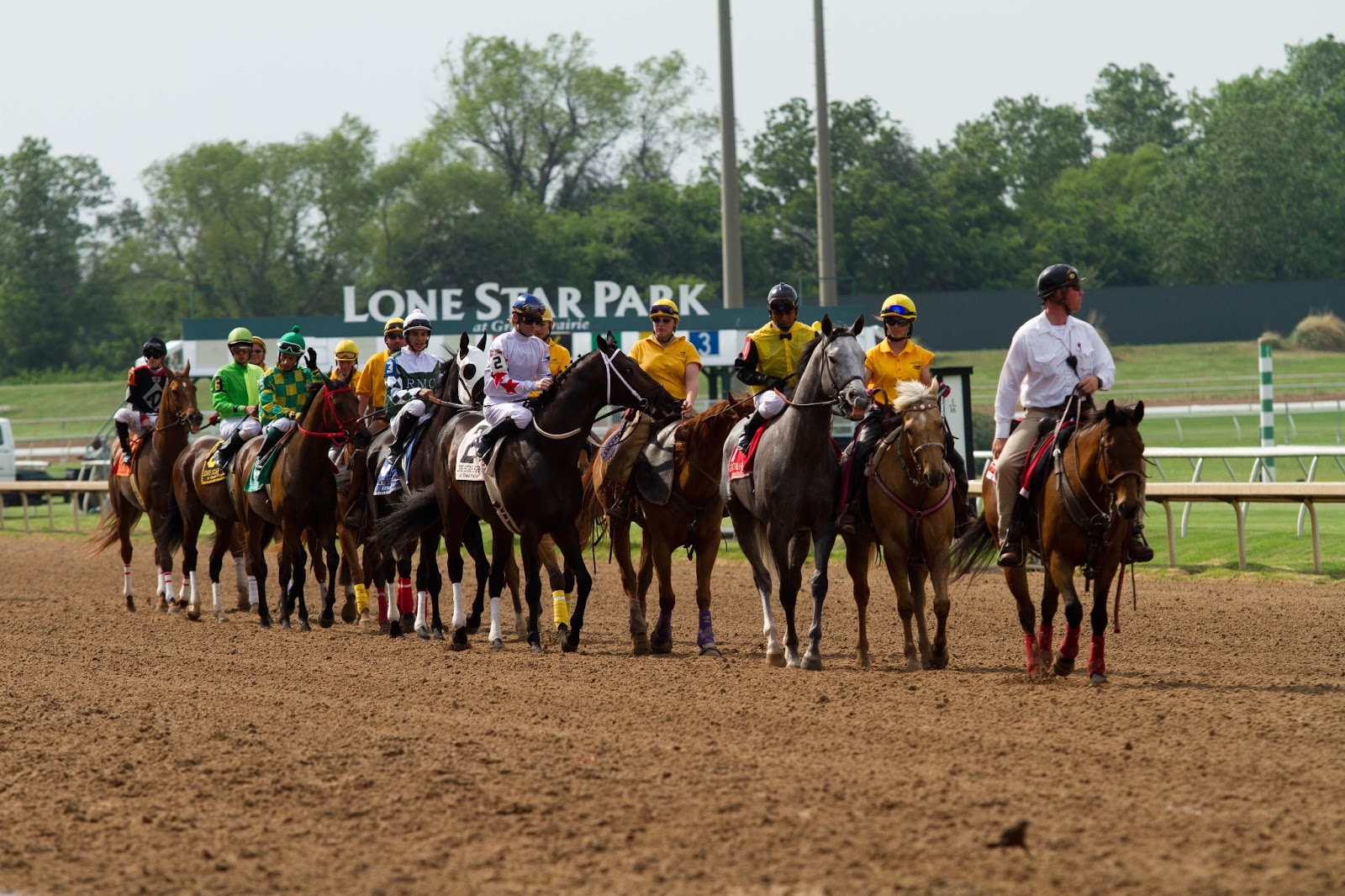 Past the Grandstand Horses of Lone Star Park