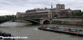 Сена река в Париже