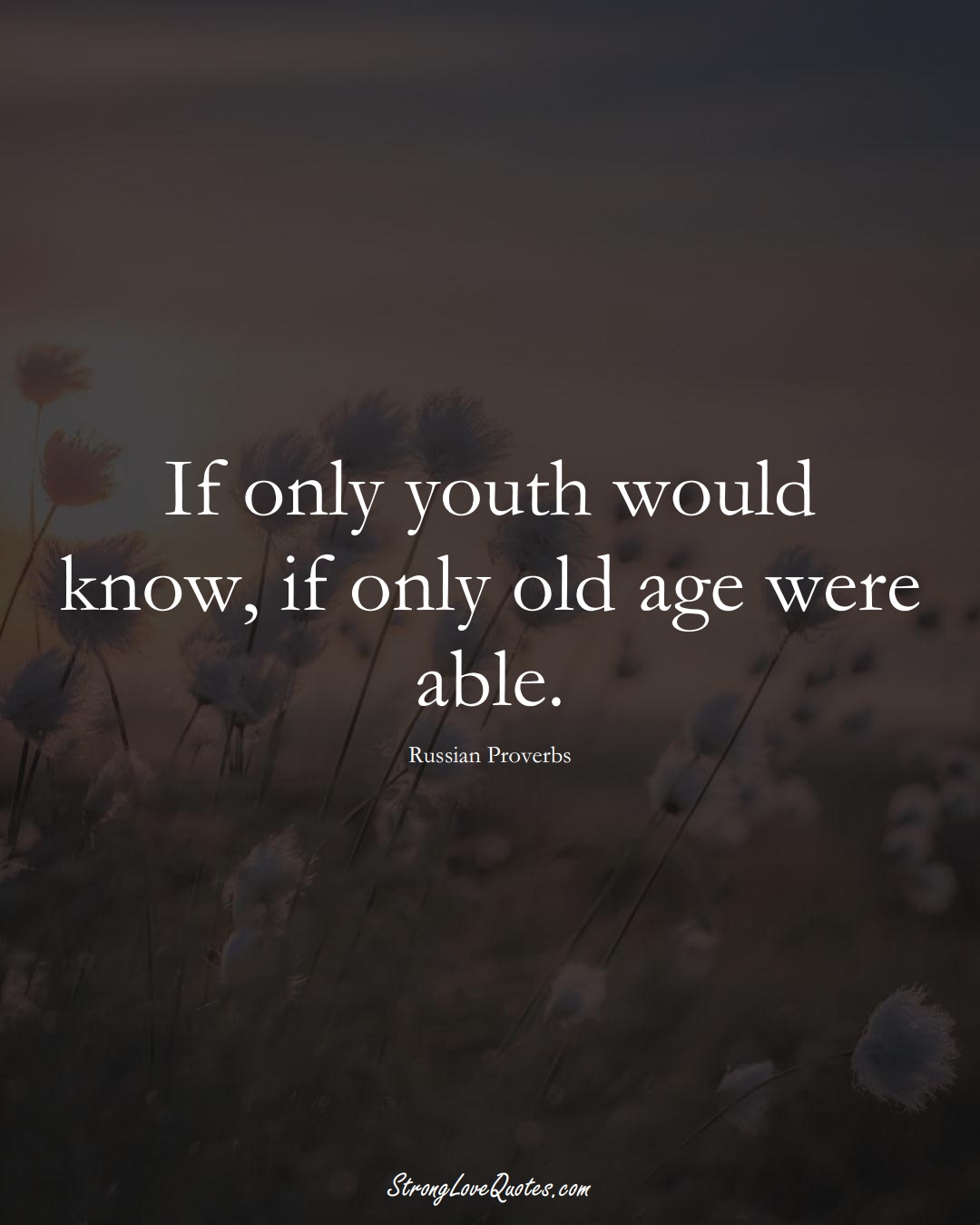 If only youth would know, if only old age were able. (Russian Sayings);  #AsianSayings