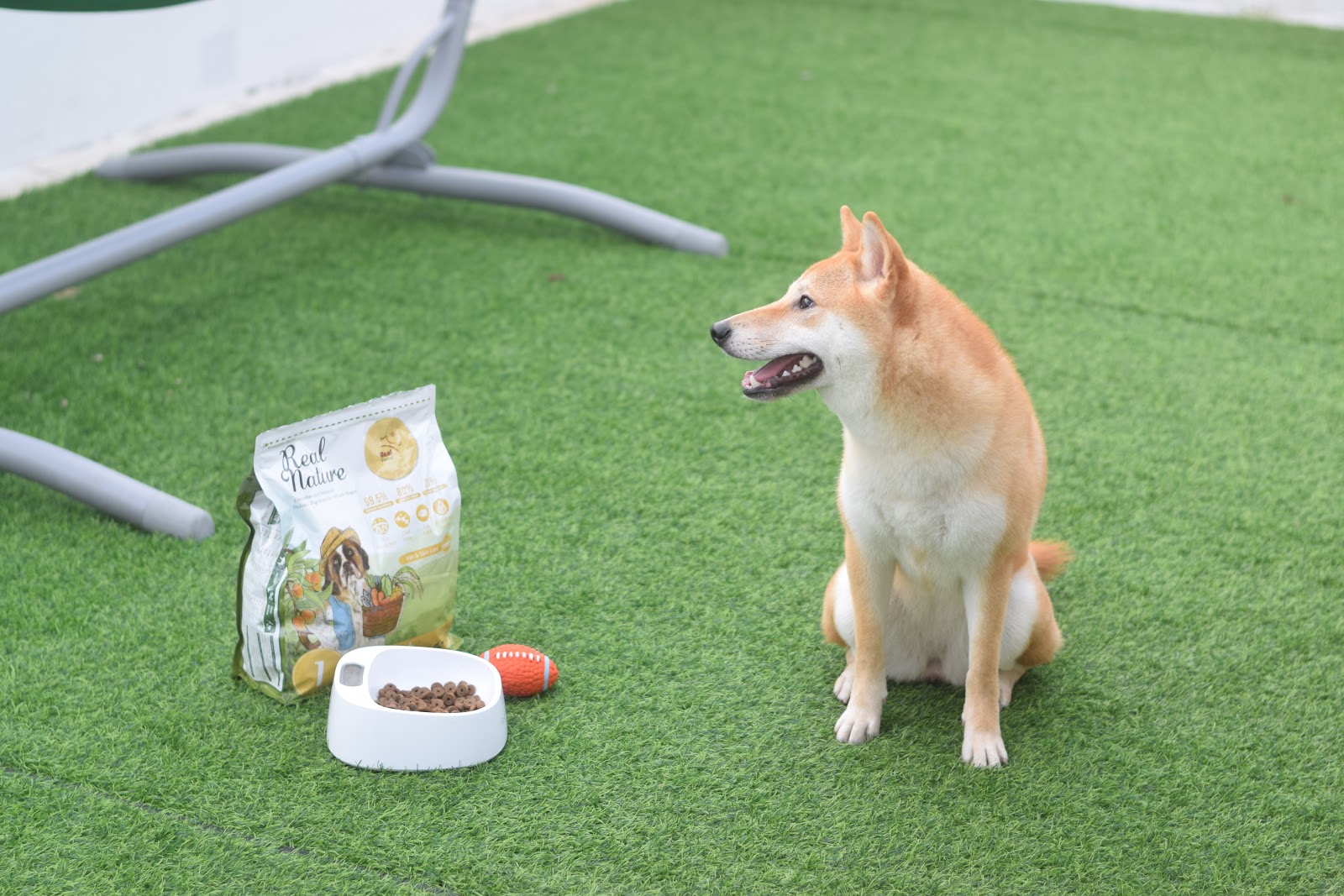 Sømand gys mund Every 18th of June: Picky Dog eaters unite - Review of Real Nature Holistic Dog  Food No.1 Prairie Lamb