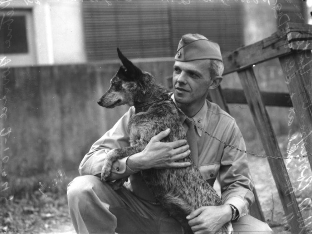 Conoce a Chips, el perro más condecorado de la Segunda Guerra Mundial