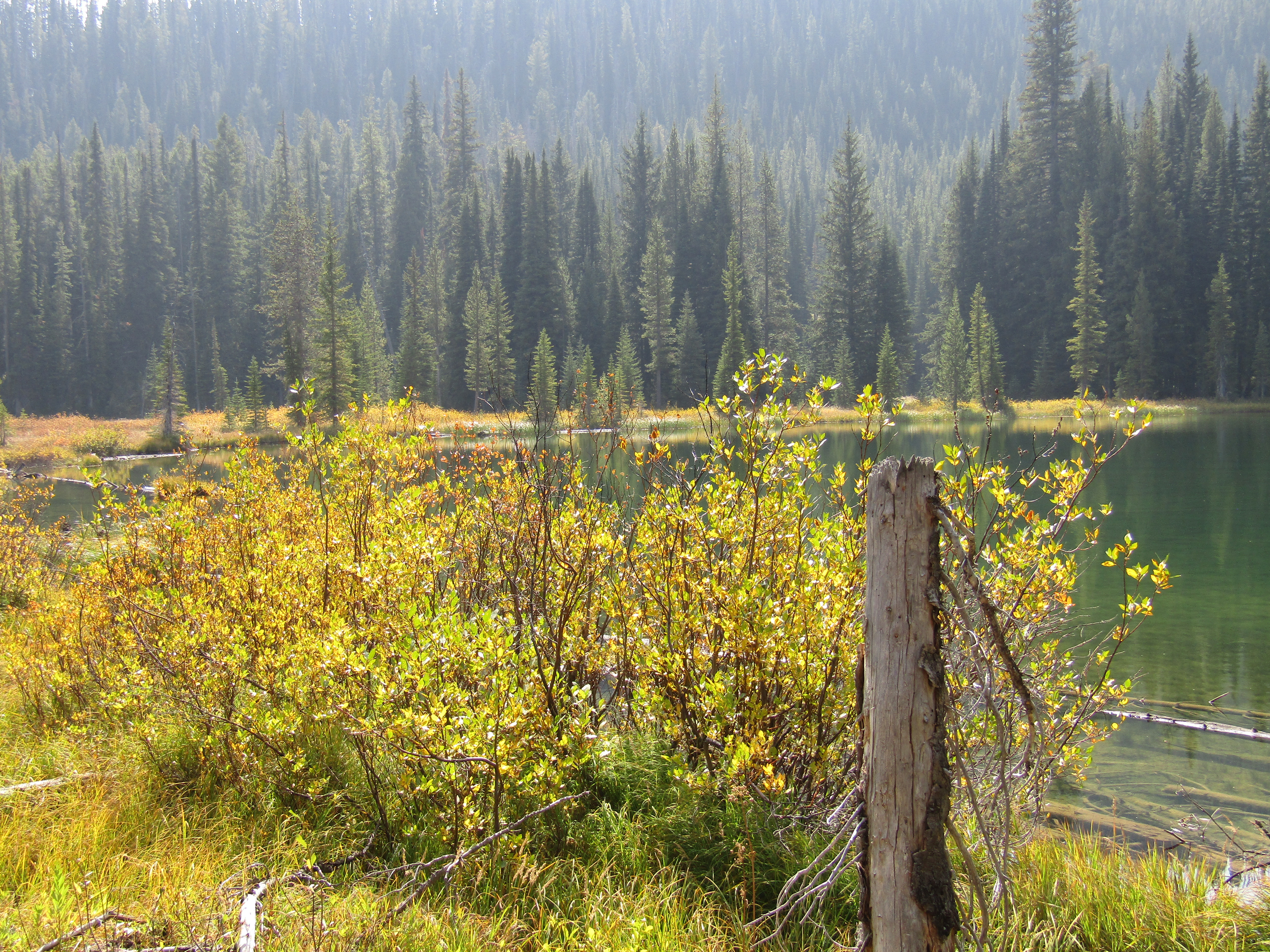 Holly's Horse Tales and Trails Tin Cup, Decker Flat, Iron Creek and