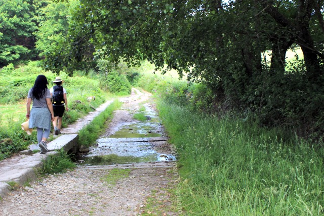 camino-de-santiago-frances-taller-del-camino-womantosantiago