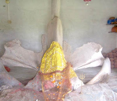 Temple Of Whale Fish Bones In Gujarat