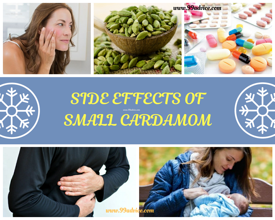 Amazing Benefits & Side Effects of Small Cardamom 99Advice