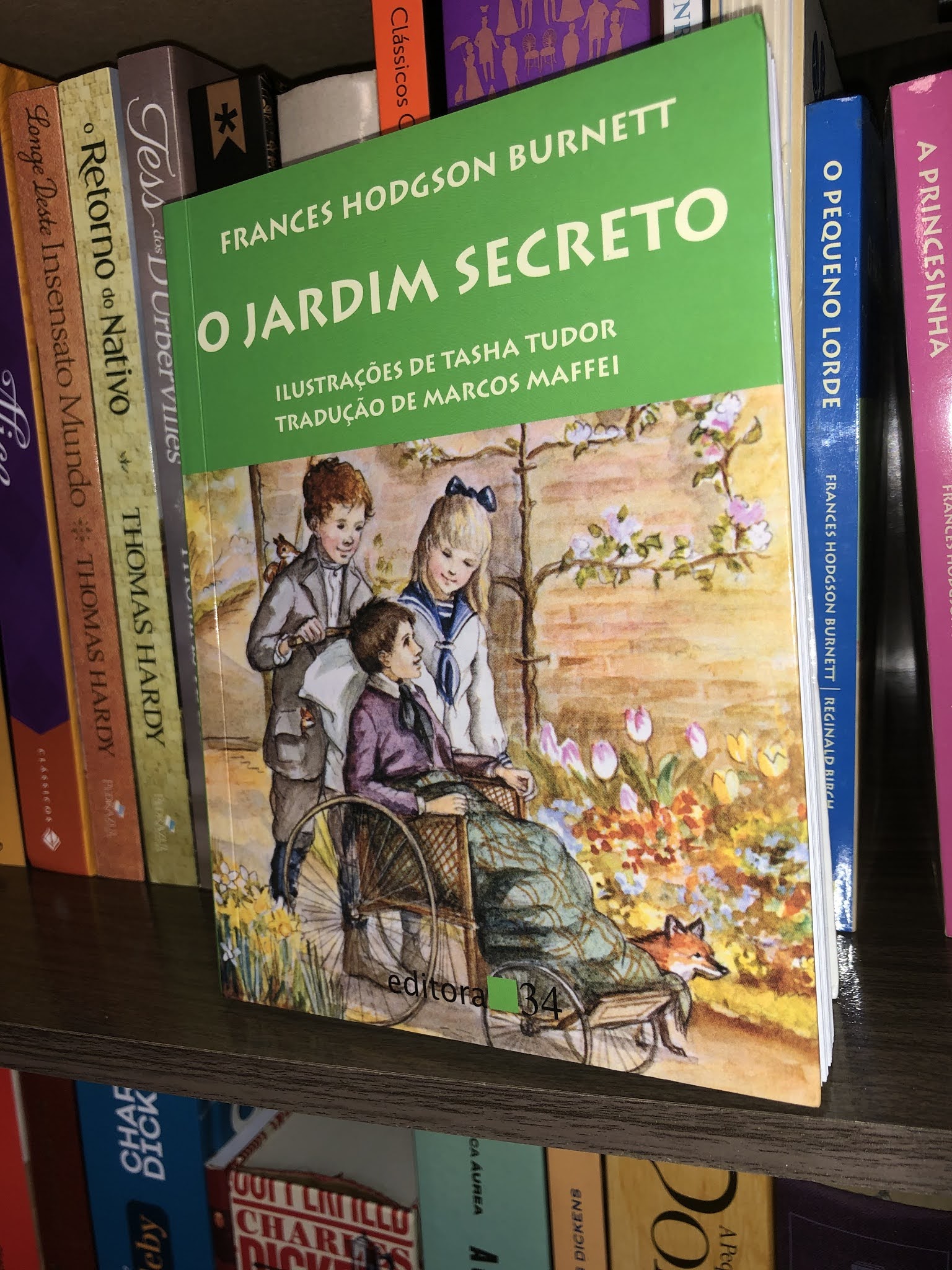 Literatura & EU O Jardim Secreto (The Secret Garden), de Frances Hodgson RESENHA 143 Literatura & EU O Jardim Secreto (The Secret Garden), de Frances Hodgson RESENHA 143
