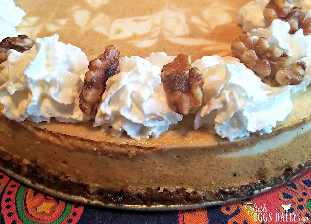 Close up of pumpkin spice swirl cheesecake with candied walnuts
