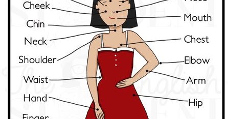 CPI Tino Grandío Bilingual Sections: The parts of the body