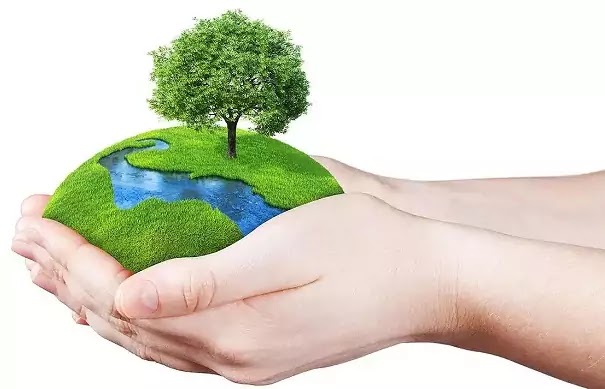 World Environment Day Essay in Hindi