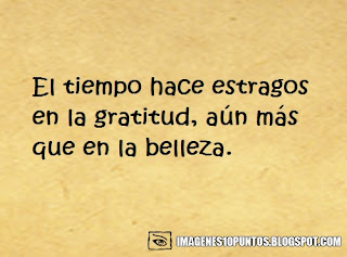 frases de gratitud frases de gratitud