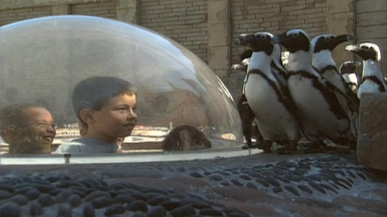 Watch Elmo's World Penguins