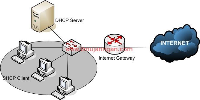Dhcp шлюз. DHCP сервер. DHCP офиса. Dora DHCP.