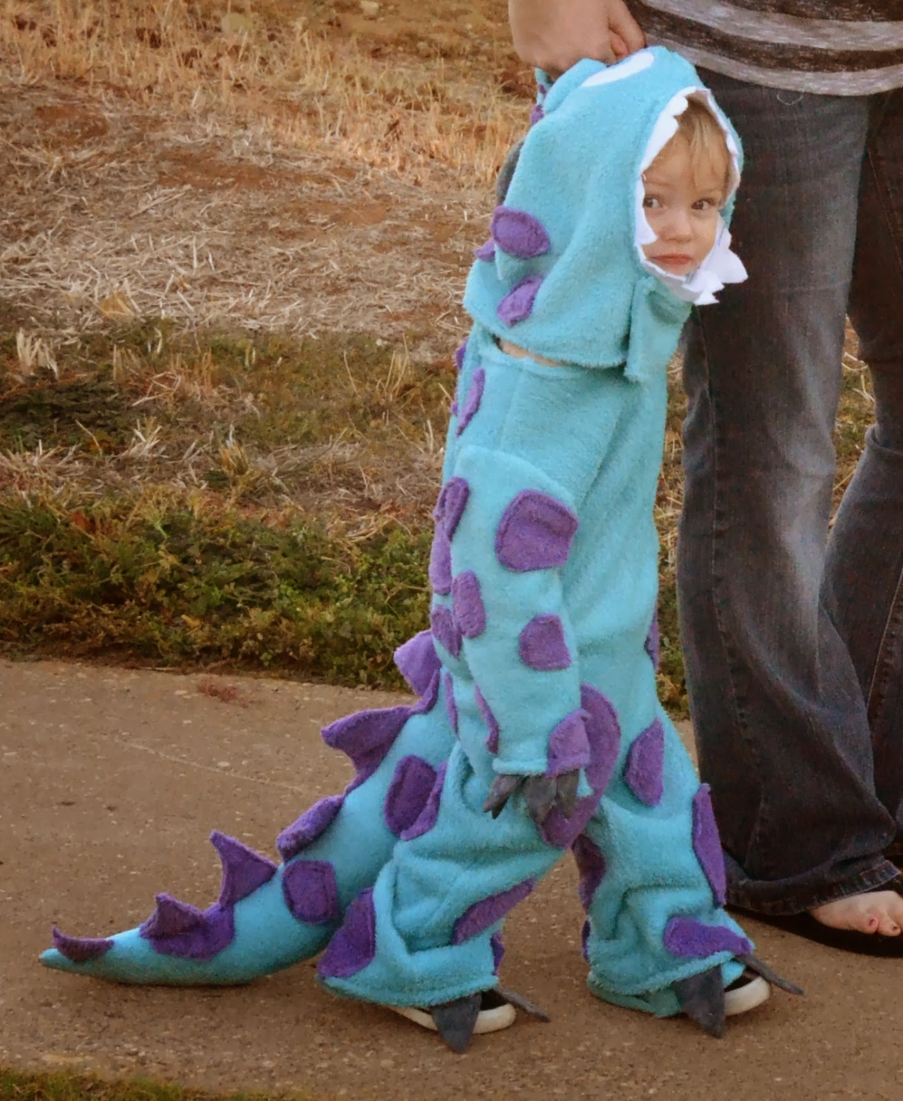 Pitcher Family Adventures: Sully From Monsters Inc. Costume Tutorial