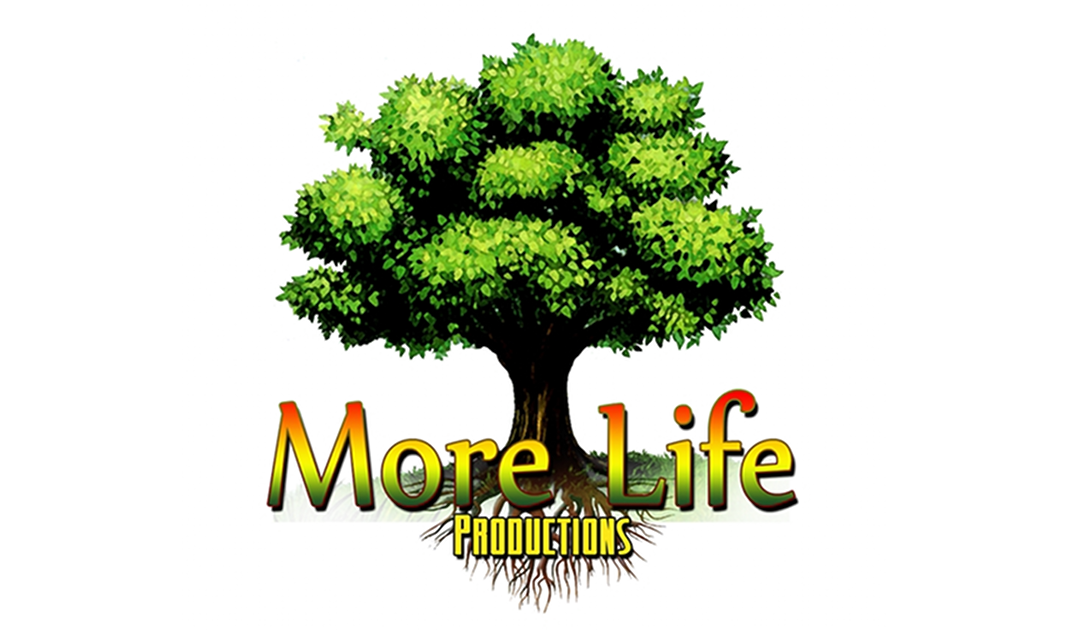 More Life Productions