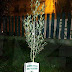 Festa dell’albero, Casapound pianta decine d’arbusti in tutt’Italia