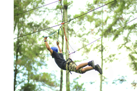 FLYING FOX