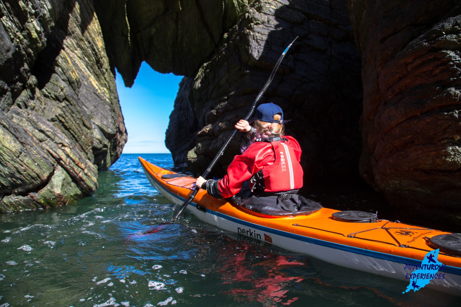 Adventurous Experiences Blog kayaking with seals...