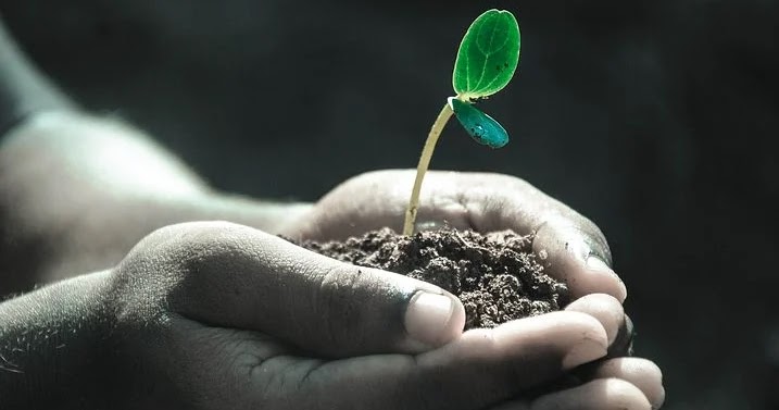 Rangkuman Ipa Kelas 9 Bab 10 Tanah Dan Keberlangsungan Kehidupan Ipa Kelas Ix Smp Mts Semester 2 Sekolahmuonline