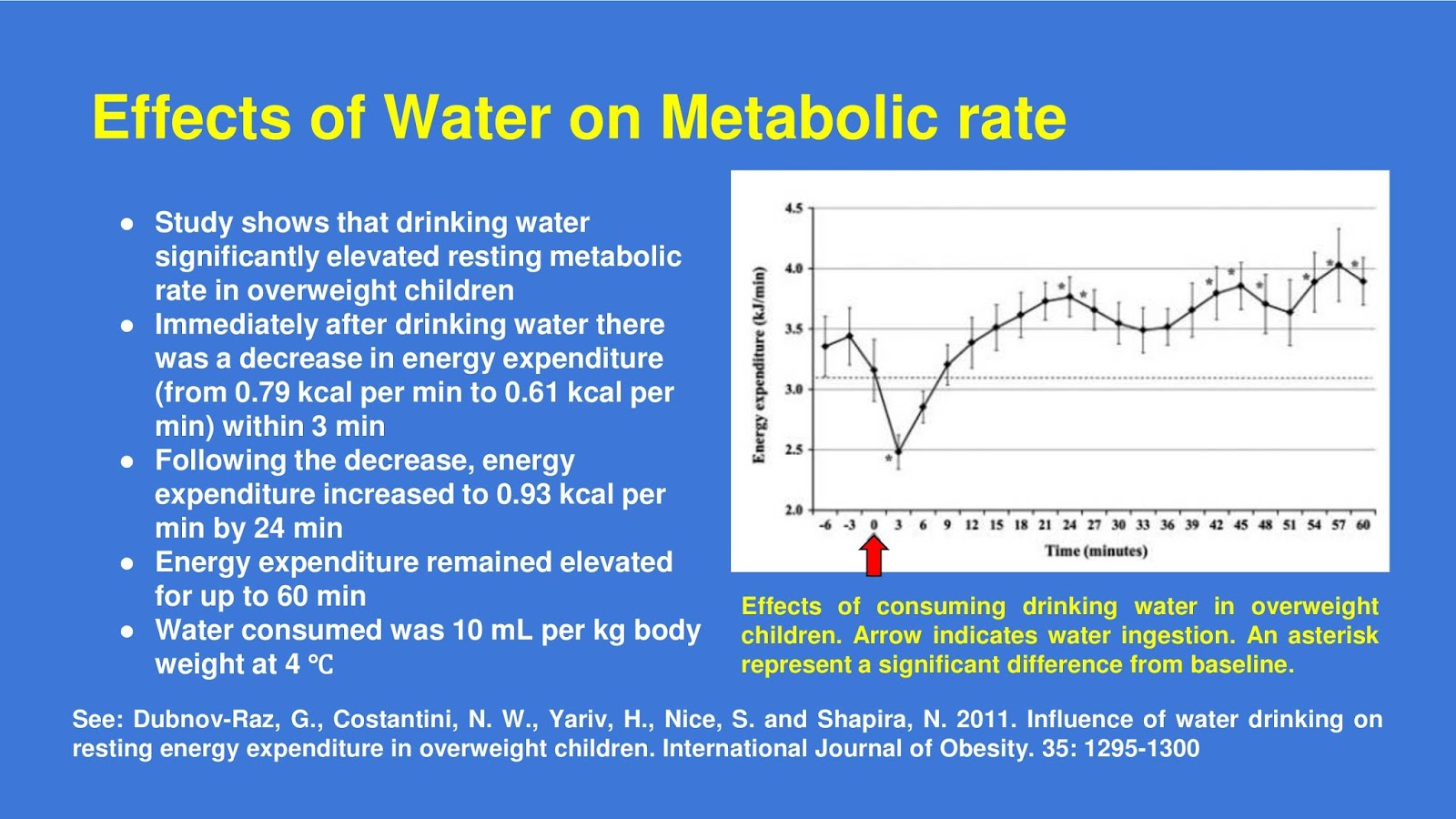 Drinking Water Increases Energy Expenditure
