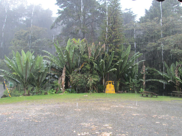 En Medellín, otra cosa no, pero te descuidas y te cae una lluvia torrencial