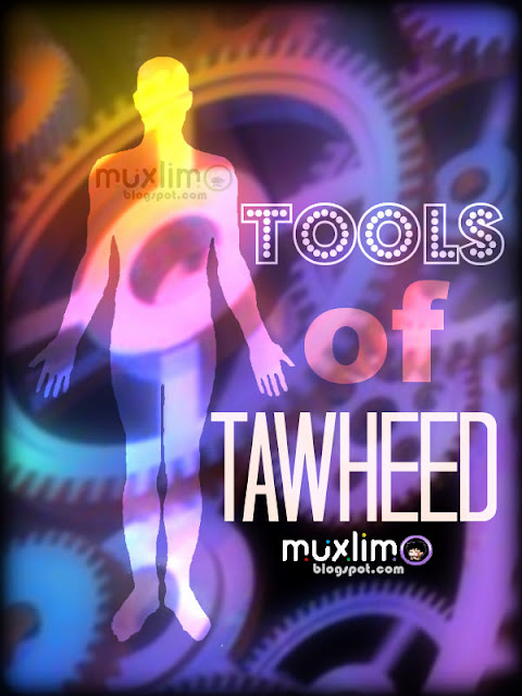 Tools of Tawheed