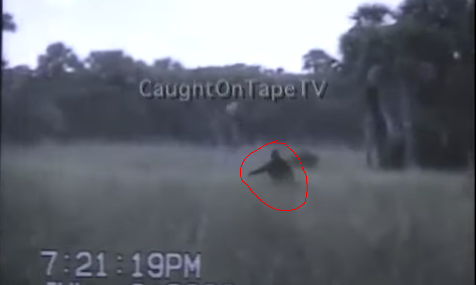 RMSO Bigfoot: Everglades Skunk Ape Video