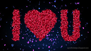 I Love You Rose Petals Text On Blue Pink Heart Confetti Celebratory Party Explosion Background