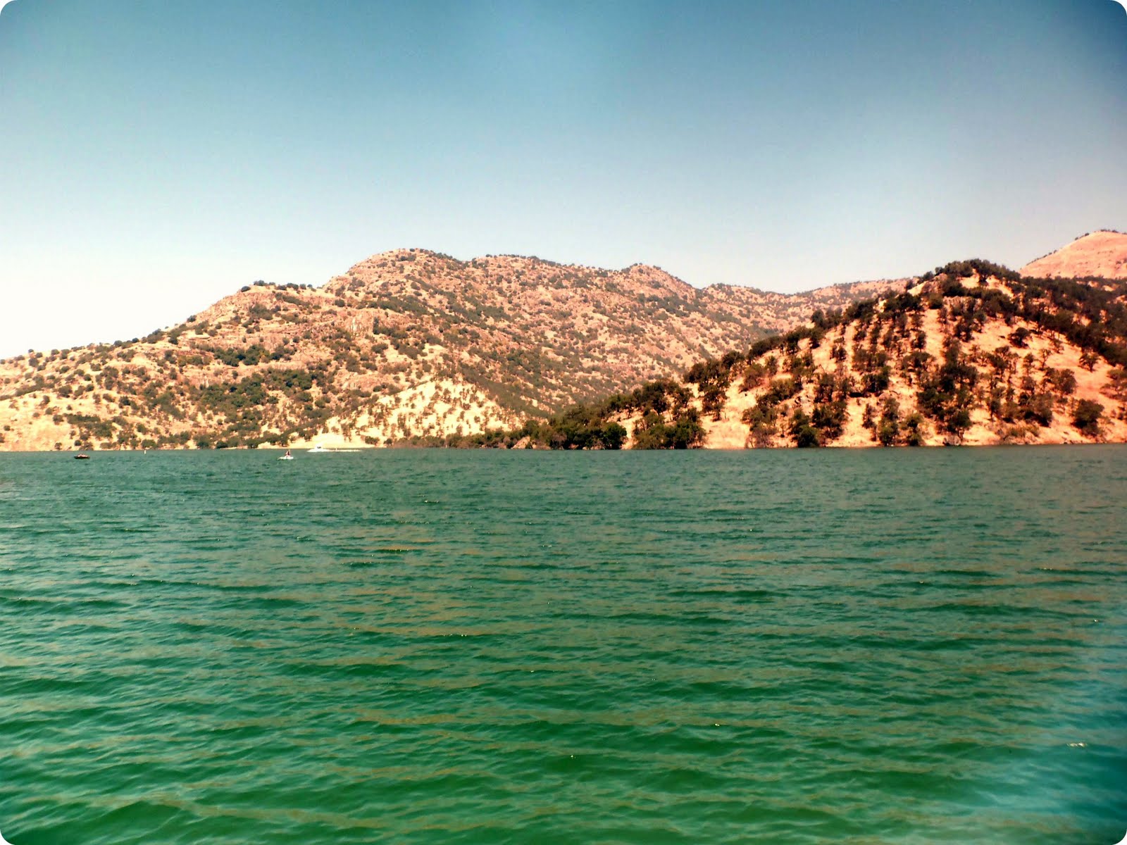 Ivanhoe, CA A•Mused