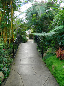 Centennial Park Conservatory path tropical house by garden muses-not another Toronto gardening blog