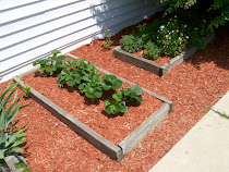 Front & Backyard Gardens