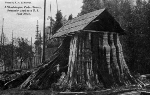 Casas construidas en troncos de árboles a principios del siglo XX