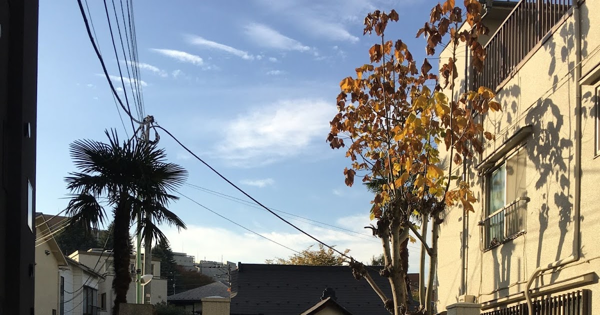 Tokyo Explorer's Map 栄殊山 正慶寺｜北村季吟の眠る池之端のお寺