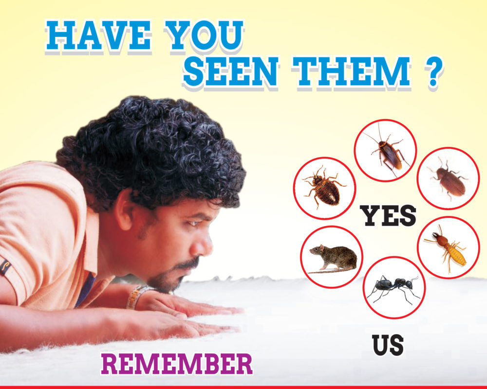 How Pest Control Protects Your Family and Home