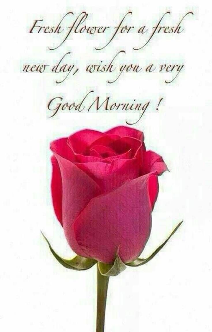 good night cute images