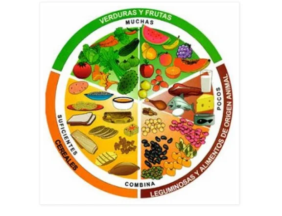 Dieta Balanceada Tabla Nutricional