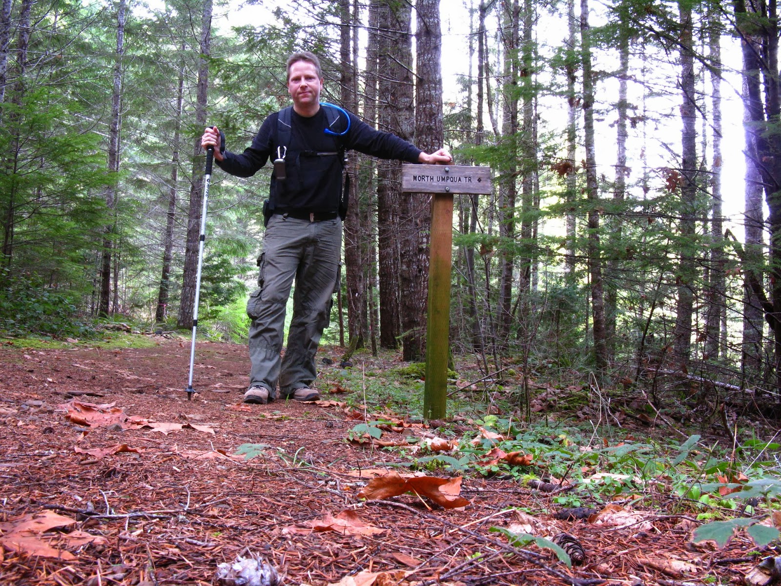Lane's Trails and Travels: North Umpqua Trail: Susan Creek to Bob Butte