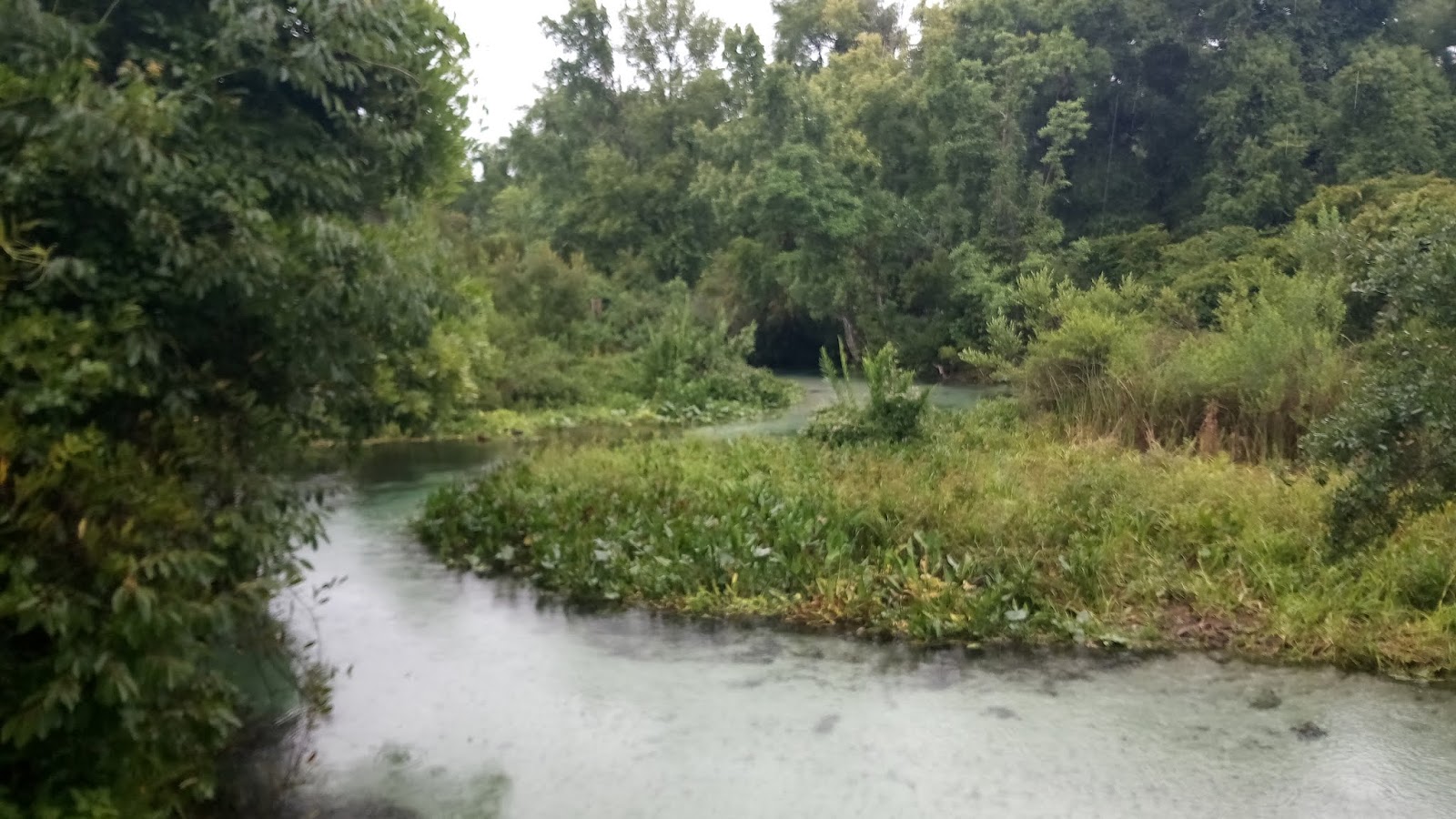 Dave's Yak Tales Blackwater Creek, Wekiva River, Rock Springs Run