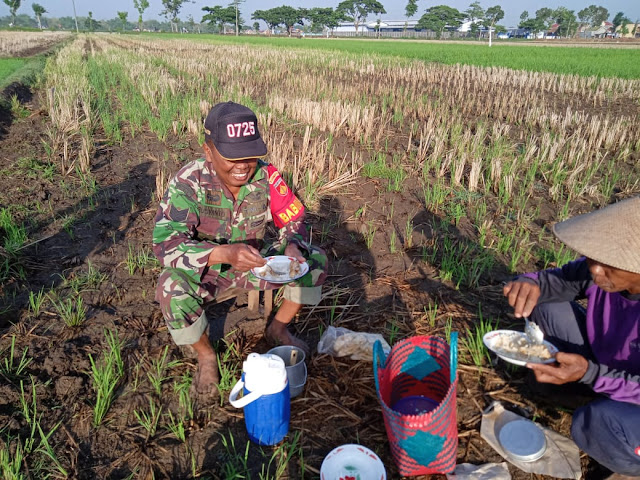 Babinsa Bantu Olah Lahan Petani