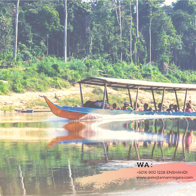 Pakej Taman Negara Kuala Tahan