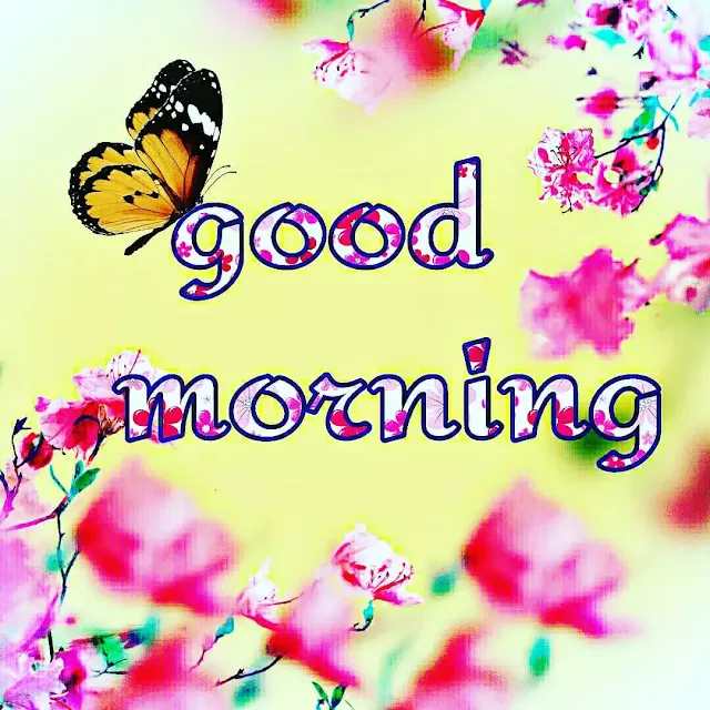 very beautiful good morning images hd