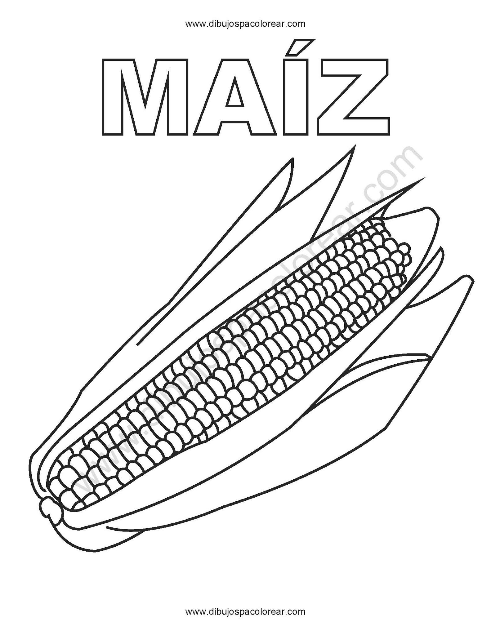 Dibujo para colorear Elote, mazorca, maíz, choclo, corn
