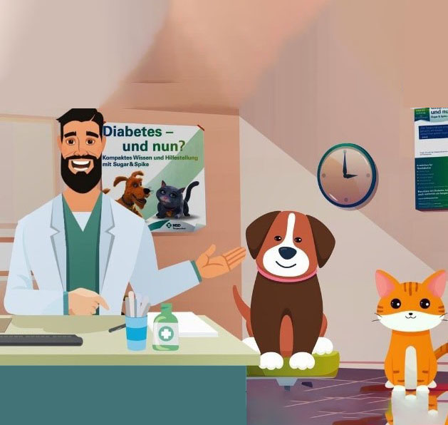 Diabetes mellitus (Zuckerkrankheit) bei Hunden und Katzen